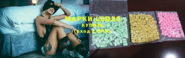 дживик Майский