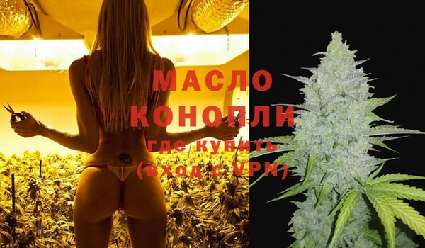 крисы Магас