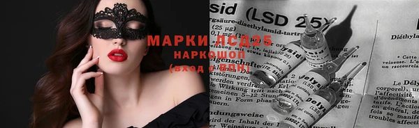 гашик Магадан
