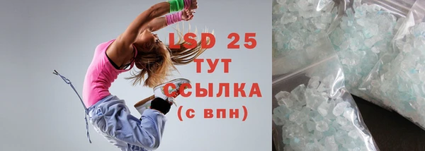 дживик Майский
