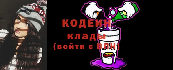 хмурый Долгопрудный