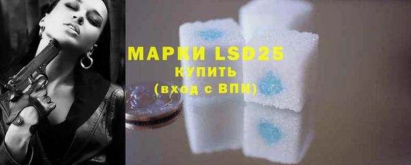 крисы Магас
