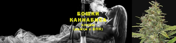 дживик Майский