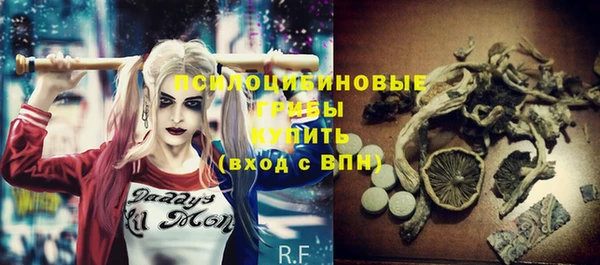 дживик Майский