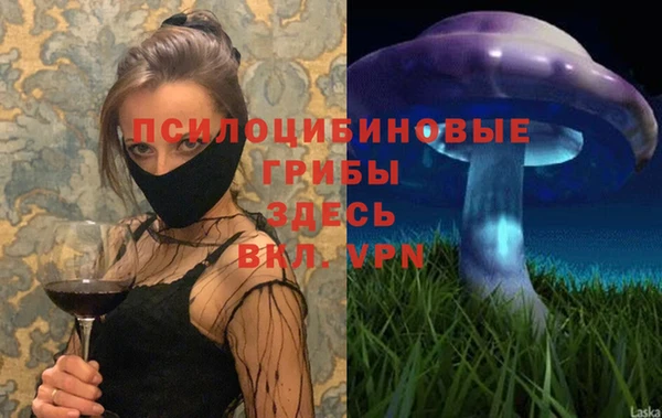 дживик Майский
