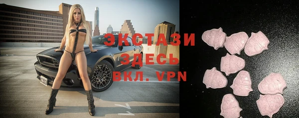 крисы Магас
