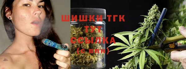крисы Магас