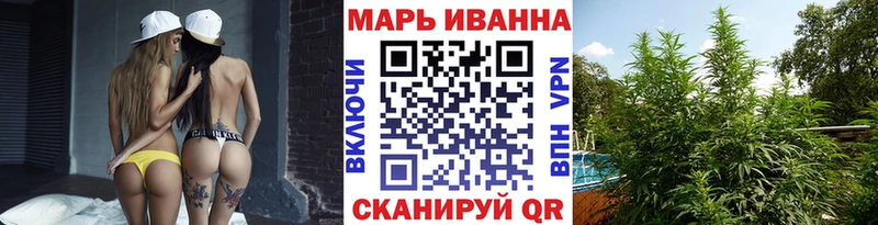 Бошки Шишки семена  дарнет шоп  Фёдоровский 